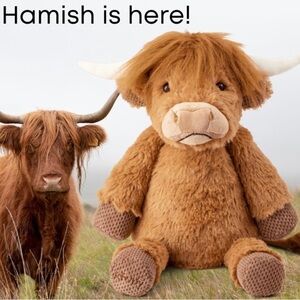 Scentsy Buddy Hamish The Highland Cow with sugar sugar‎ cookie scent pack